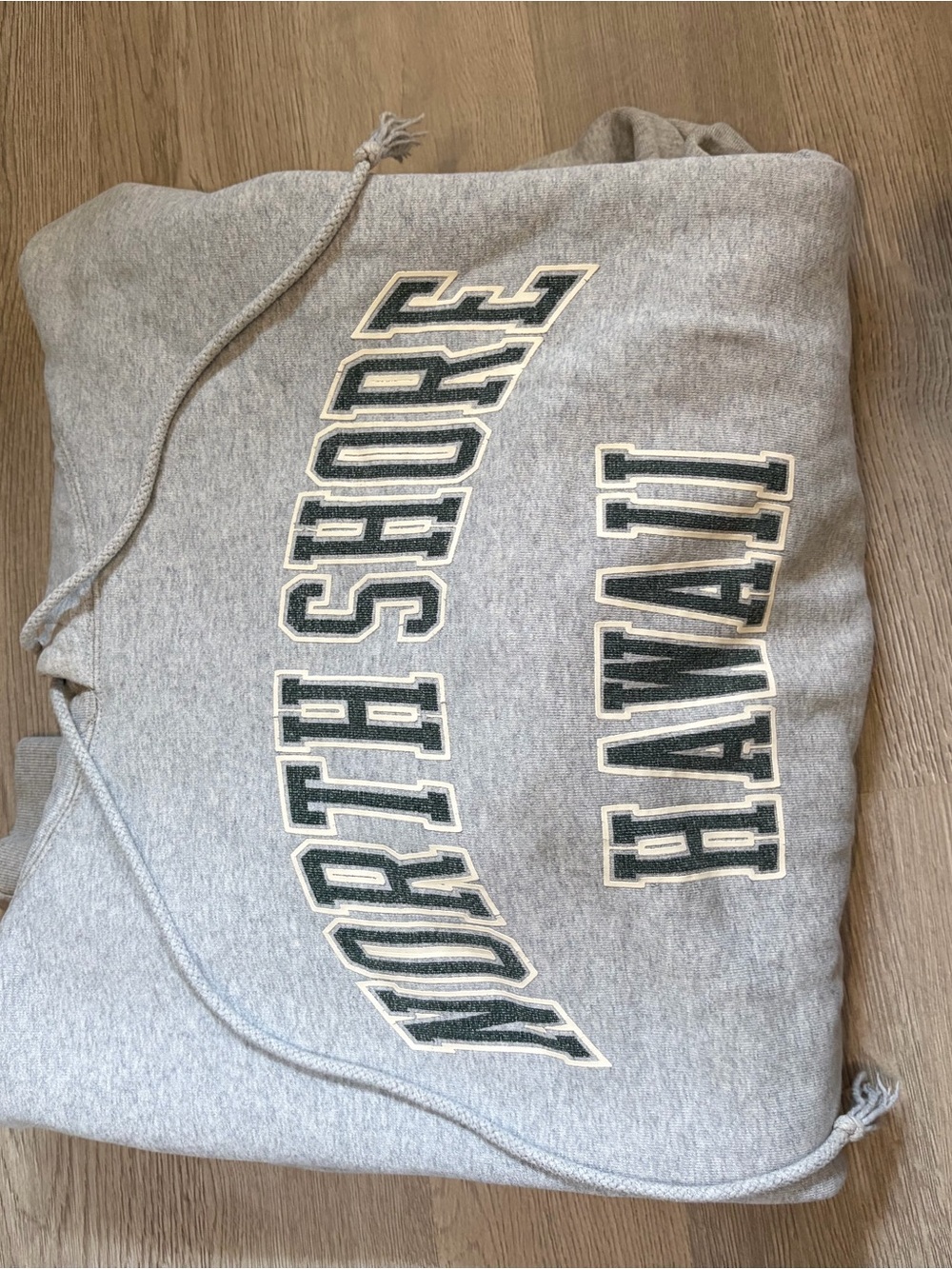 Brandy Melville Gray North Shore Hawaii Hoodie